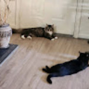 Meet your Posher, Dionne